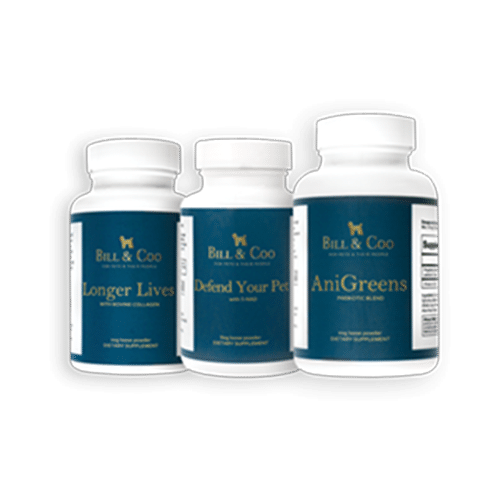 BC Powder Pack - 3er Pack Immunsystem Stärken